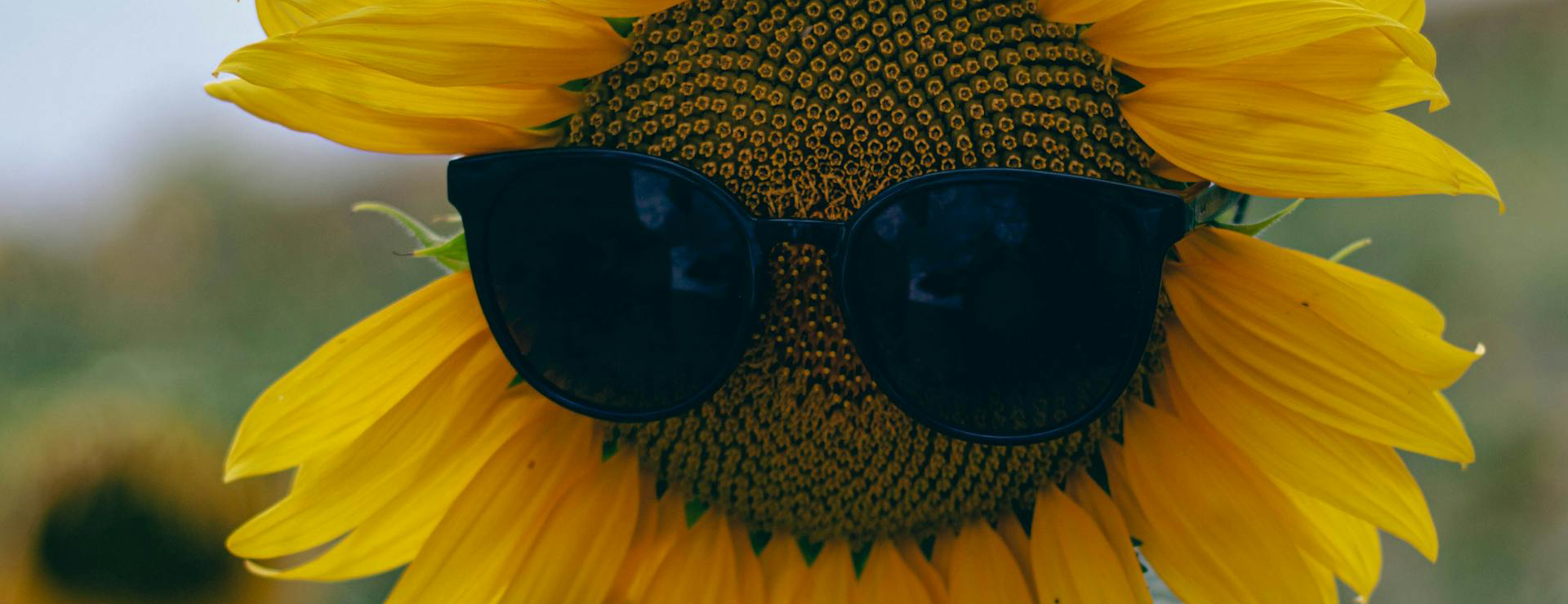 A New Day™ 1 A New Day™ -A New Day™ pexels baris yigit 239931604 13800992